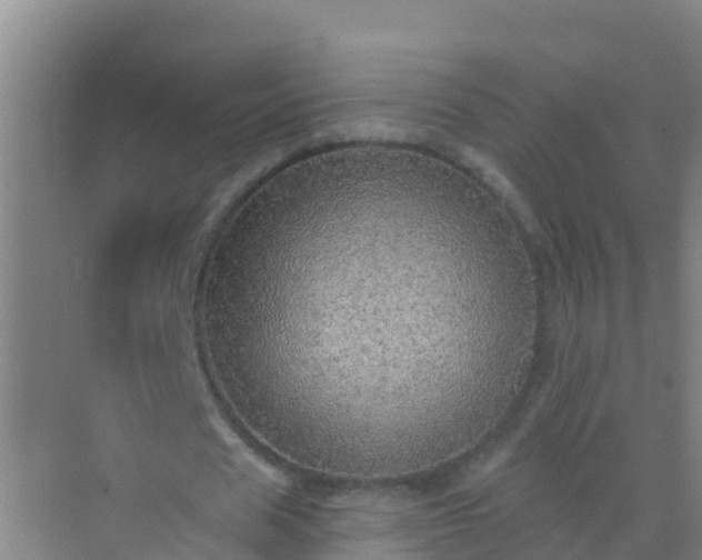 X0000072970625200607282323