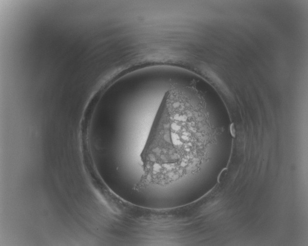 X0000072970626200607282323