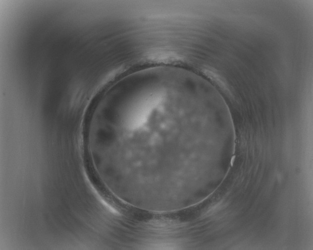 X0000072970630200607282323