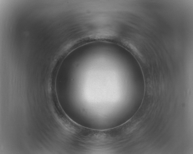 X0000072970631200607282323