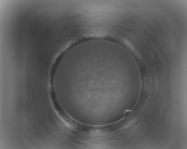 X0000072970634200607282323