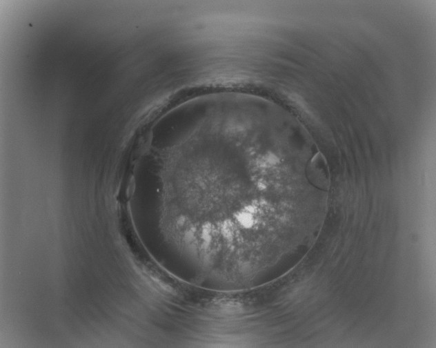 X0000072970640200607282323