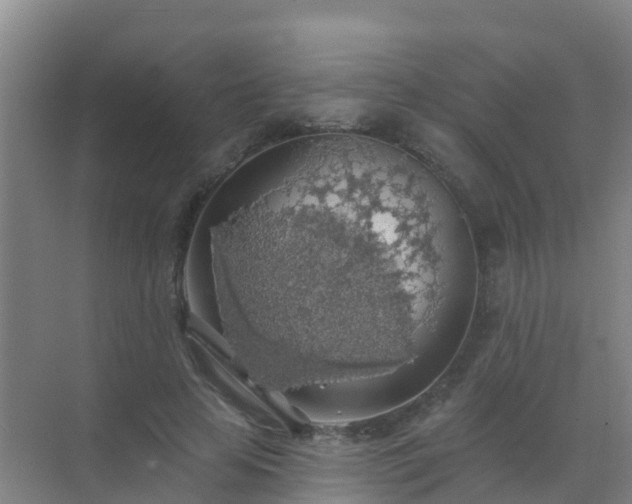 X0000072970641200607282323