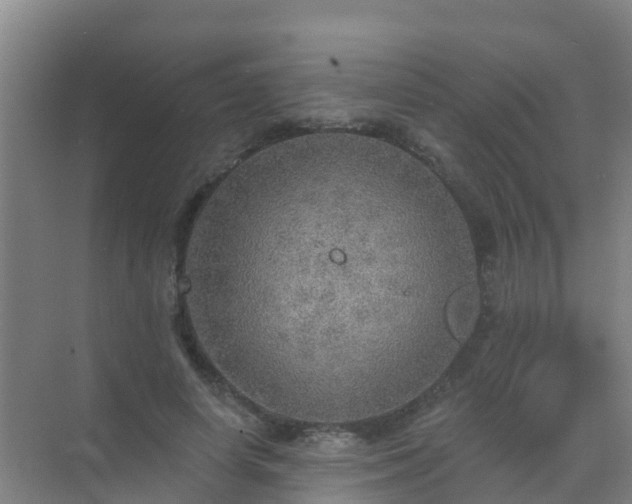 X0000072970642200607282323