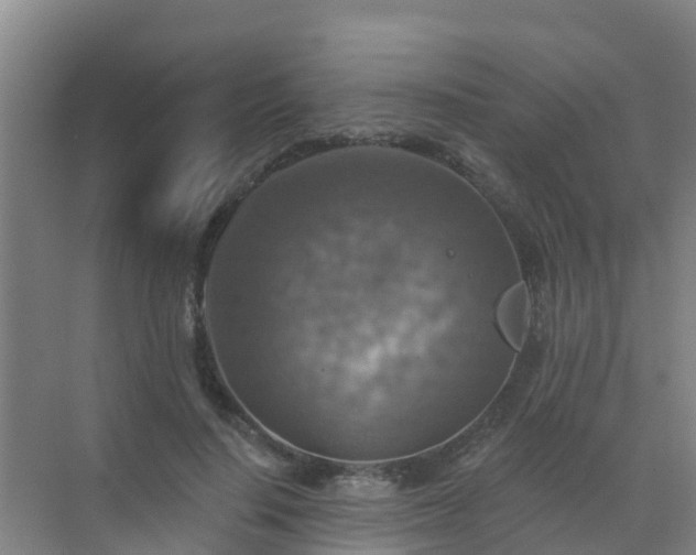 X0000072970644200607282323