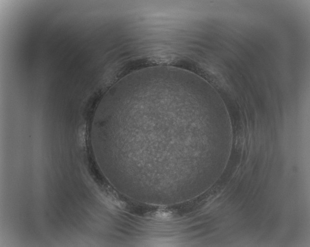 X0000072970647200607282323