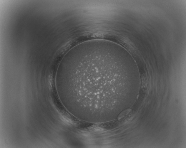 X0000072970648200607282323