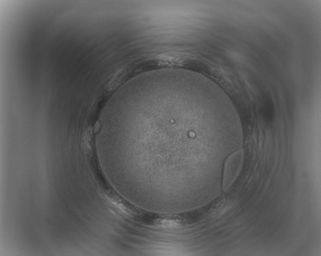 X0000072970649200607282323