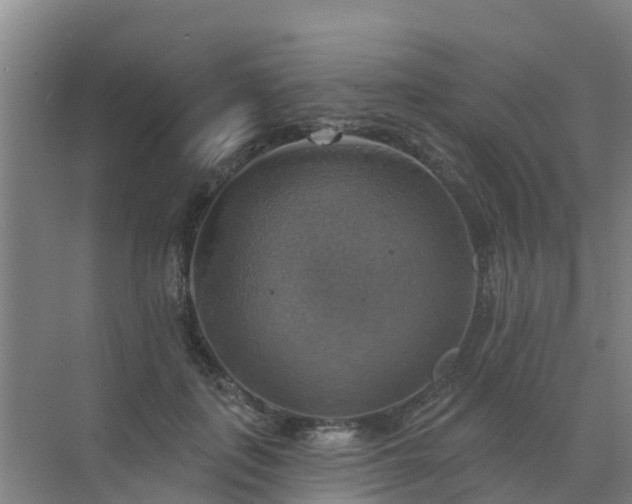 X0000072970651200607282323