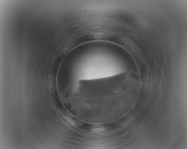 X0000072970653200607282323