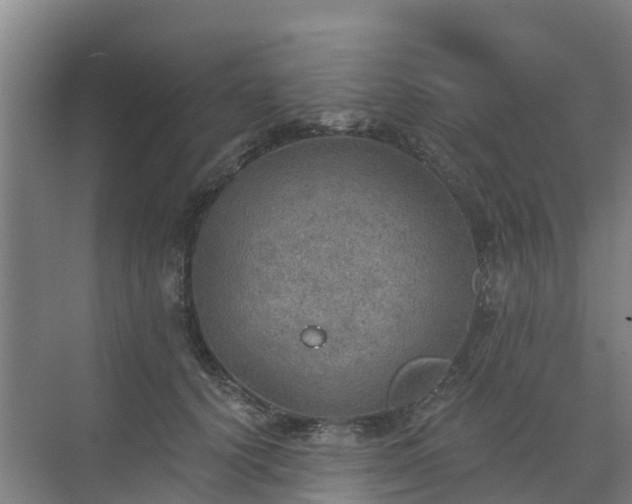 X0000072970656200607282323