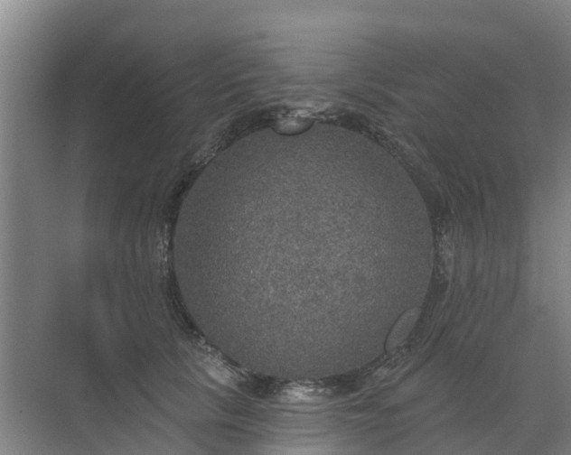 X0000072970657200607282323