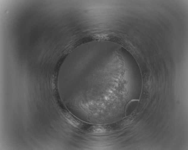 X0000072970658200607282323