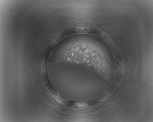 X0000072970659200607282323