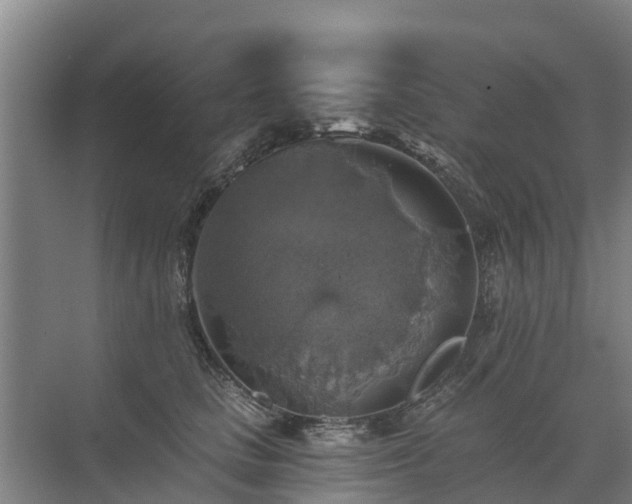 X0000072970661200607282323