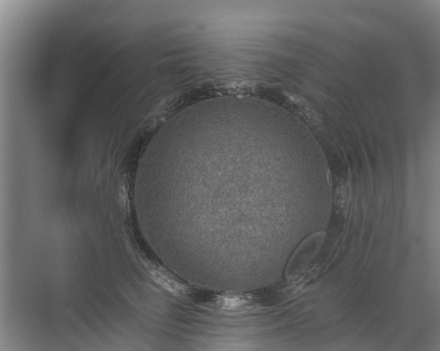 X0000072970662200607282323