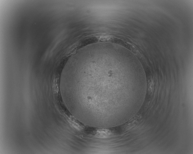 X0000072970666200607282323