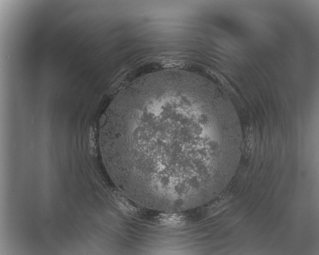 X0000072970667200607282323