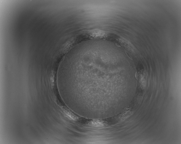 X0000072970668200607282323