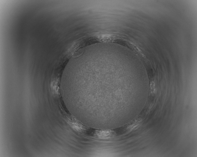 X0000072970671200607282323