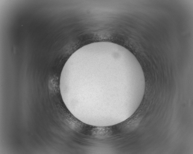 X0000072970672200607282323