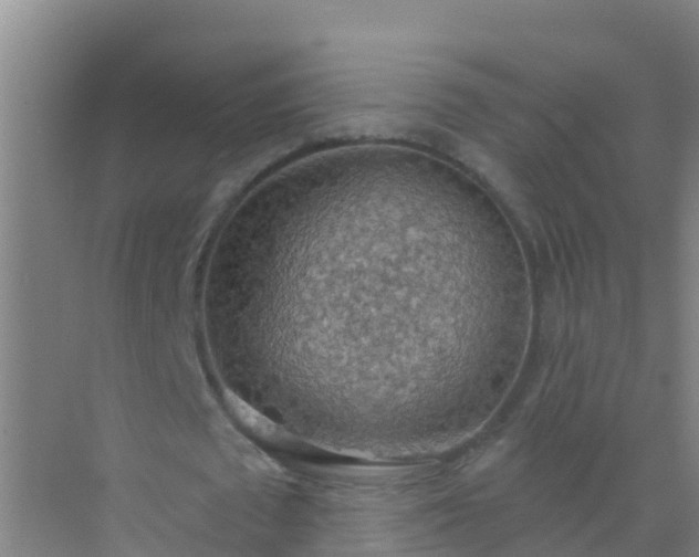 X0000072970673200607282322