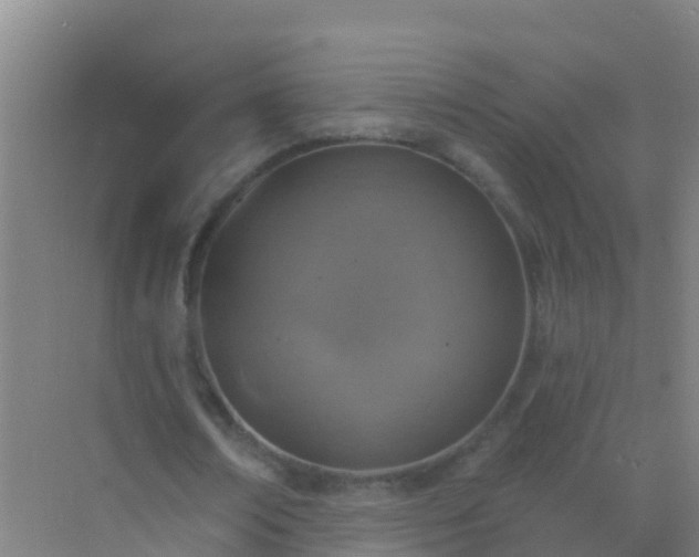 X0000072970674200607282322