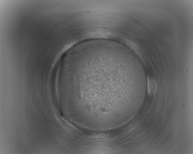 X0000072970675200607282322