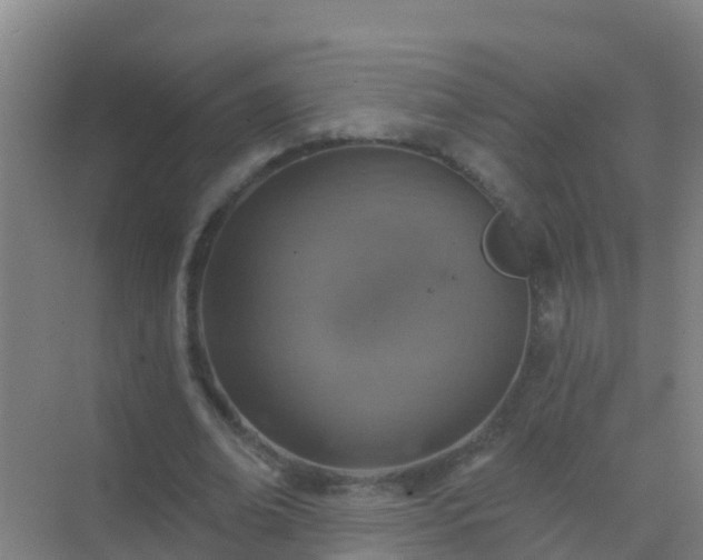 X0000072970678200607282322