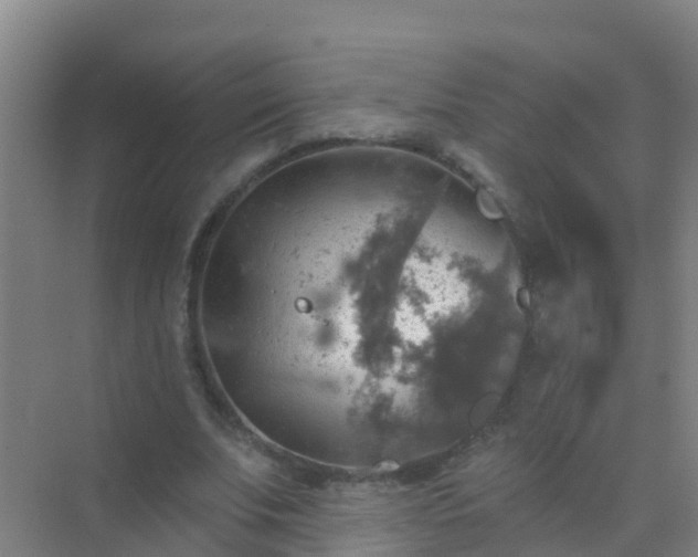 X0000072970679200607282322