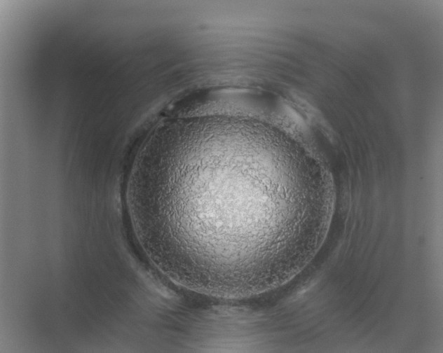 X0000072970681200607282322