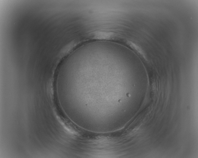 X0000072970682200607282322