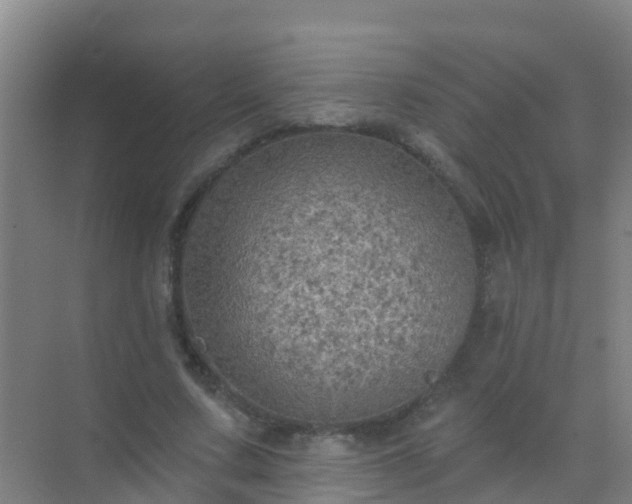 X0000072970683200607282322