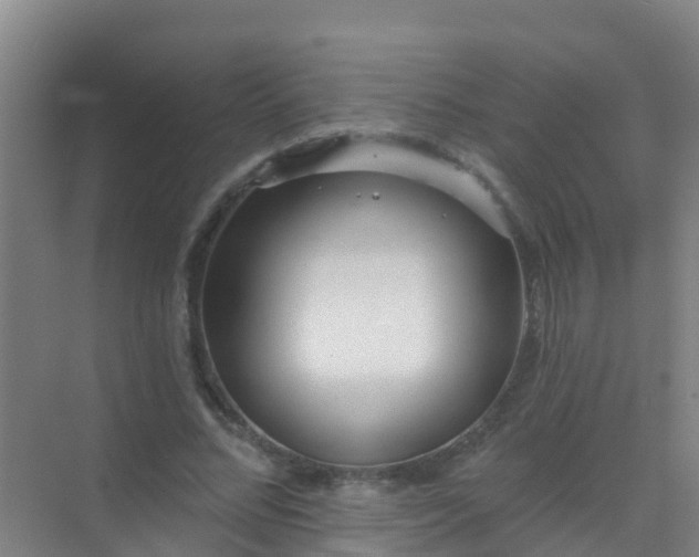 X0000072970684200607282322