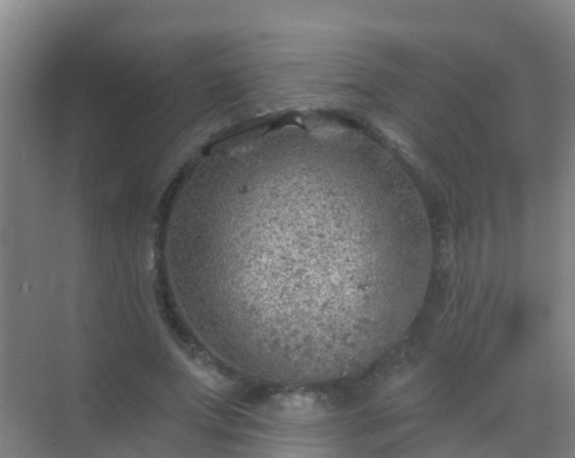 X0000072970687200607282322