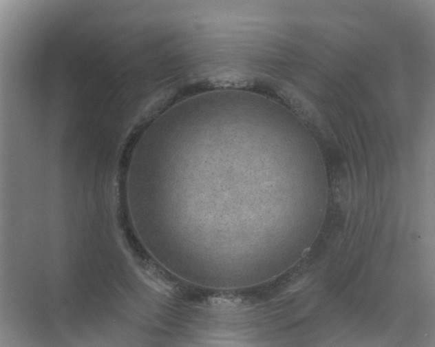 X0000072970690200607282322