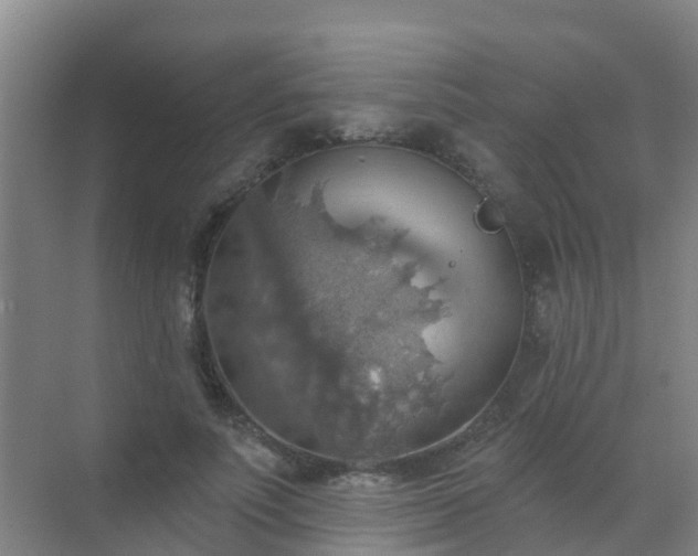 X0000072970691200607282322