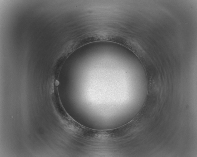 X0000072970694200607282322