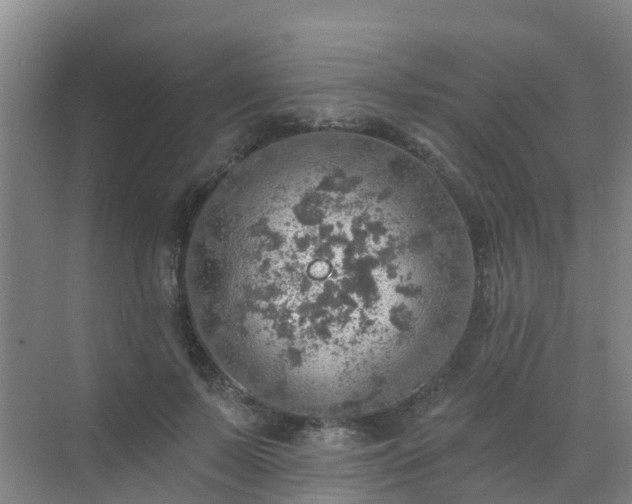 X0000072970695200607282322