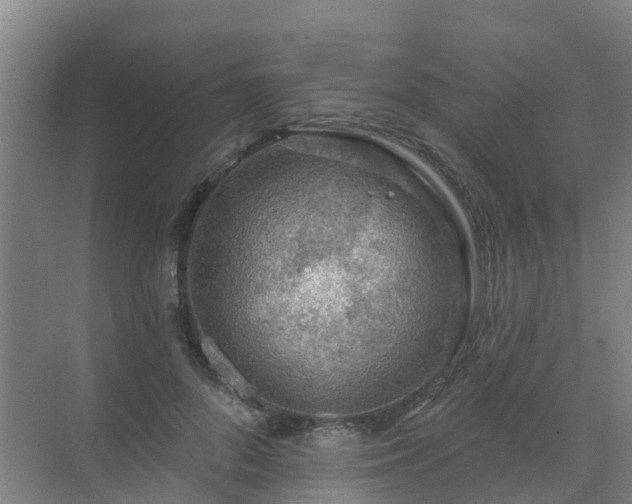 X0000072970696200607282322