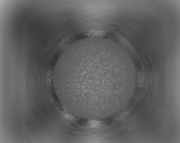 X0000072970701200607282322