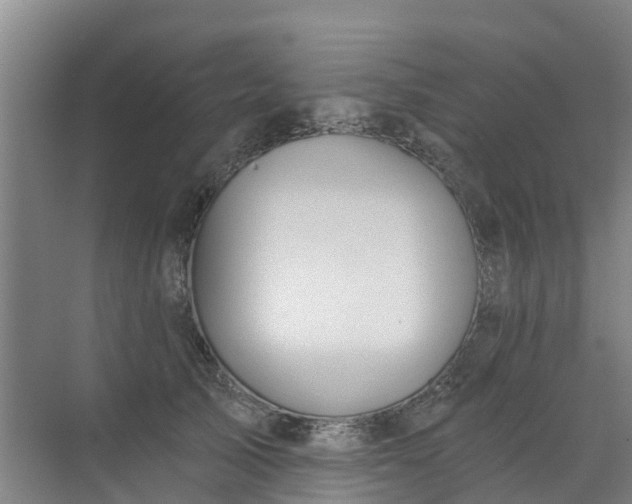 X0000072970705200607282322