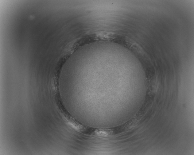 X0000072970706200607282322