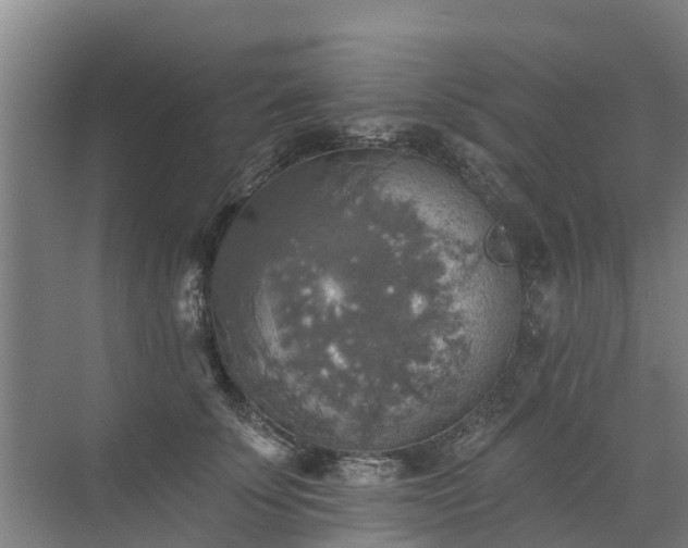 X0000072970707200607282322