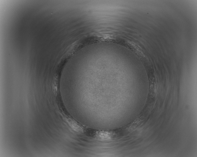 X0000072970710200607282322