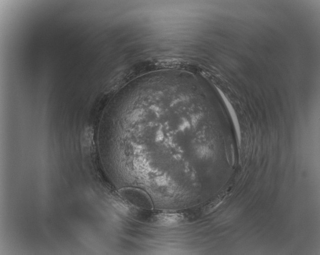 X0000072970711200607282322