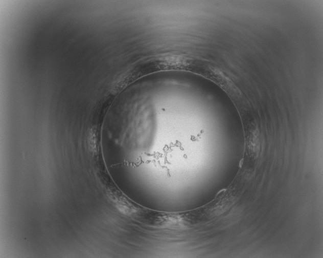 X0000072970715200607282322