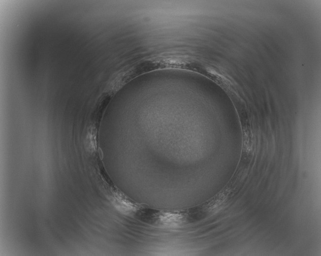 X0000072970718200607282322