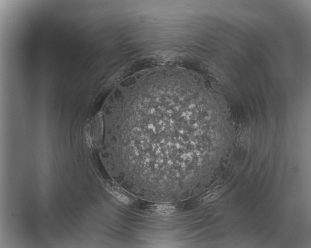 X0000072970719200607282322