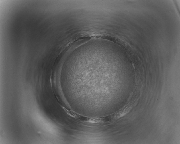 X0000072970720200607282322